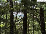 Lot 102 & 103 Hickory Hollow Road - Photo 8