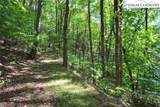 TBD Beech Mountain Road - Photo 10