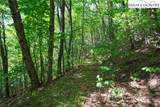 TBD Beech Mountain Road - Photo 11