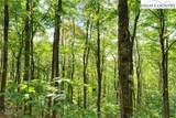 TBD Beech Mountain Road - Photo 12