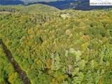 TBD Beech Mountain Road - Photo 19