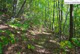 TBD Beech Mountain Road - Photo 9