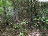 Lot 163 Staghorn Road - Photo 10