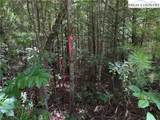 Lot 163 Staghorn Road - Photo 11