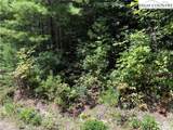 Lot 163 Staghorn Road - Photo 13