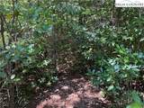Lot 163 Staghorn Road - Photo 8
