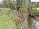 TBD Big Peak Creek Road - Photo 13