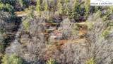 128 Golden Trout Drive - Photo 10