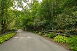 Lot 24 Red Wolf - Photo 4
