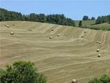 285 Black Bear Ridge - Photo 6