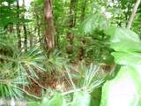 360 Kenmure Drive - Photo 13