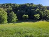 3205 Sheets Gap Road - Photo 5