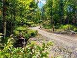 Lot #96 Eagles Nest Trail - Photo 15