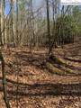 TBA Park Vista Road - Photo 8