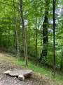 Lot 19 Clear Waters Edge Estate - Photo 18