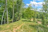Lot 3 Horseshoe Trail - Photo 10