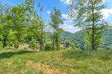 Lot 3 Horseshoe Trail - Photo 12