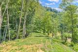 Lot 3 Horseshoe Trail - Photo 13