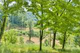 Lot 3 Horseshoe Trail - Photo 15
