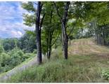 Lot 3 Horseshoe Trail - Photo 17