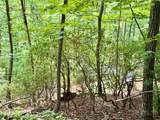 35 Acres Lot 23 Bear Track Lane - Photo 10