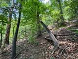35 Acres Lot 23 Bear Track Lane - Photo 11