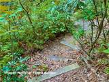 35 Acres Lot 23 Bear Track Lane - Photo 14