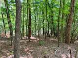 35 Acres Lot 23 Bear Track Lane - Photo 6