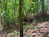 35 Acres Lot 23 Bear Track Lane - Photo 8