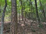 35 Acres Lot 23 Bear Track Lane - Photo 9
