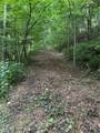 TBD Little Tree Road - Photo 4
