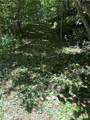 TBD Little Tree Road - Photo 6