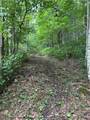 TBD Little Tree Road - Photo 8
