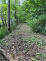 TBD Little Tree Road - Photo 9