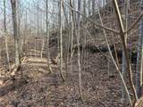 TBD Off Tom Pless Road - Photo 8