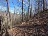 TBD Off Tom Pless Road - Photo 9