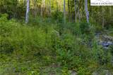 Lot C3 Bear Paw Road - Photo 8
