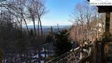 140 Spruce Hollow Road - Photo 46