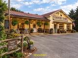 1586 Nc Highway 88 W. - Photo 4