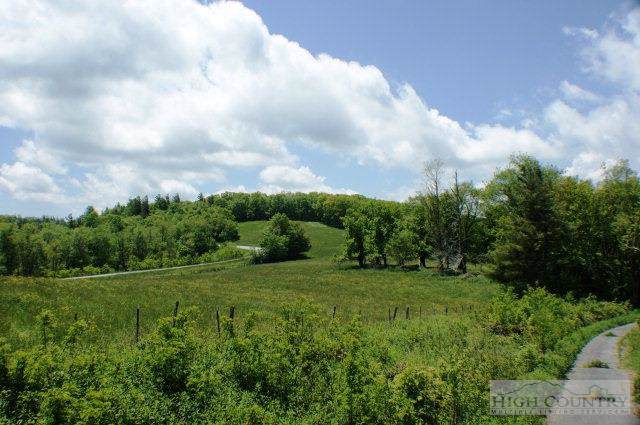Tbd Parkway Forest Drive - Photo 1