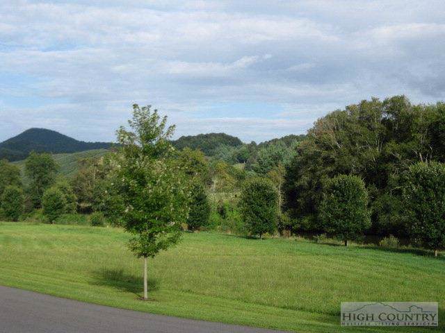 Lot 6 Riverside Park Trail - Photo 1