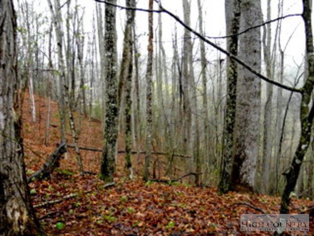 7 Riverwood - Photo 1