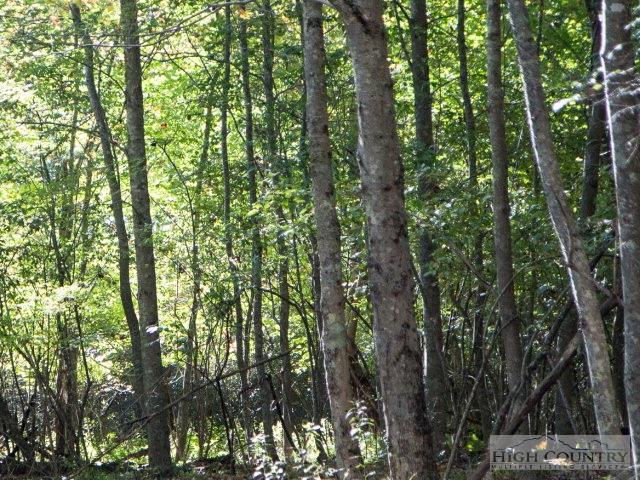 Tbd Panther Den - Photo 1