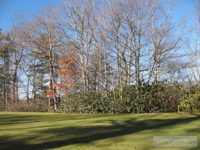 34 Woodpecker Lane - Photo 1
