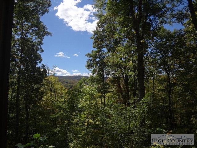 Tbd 16 Boulder Springs Road - Photo 1