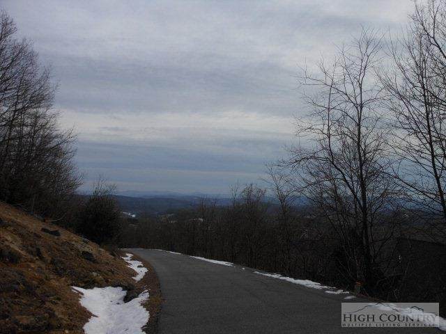 Lot 11 Ivy Ridge Road - Photo 1