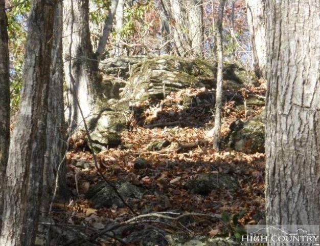 Tbd Ridge Run Road - Photo 1