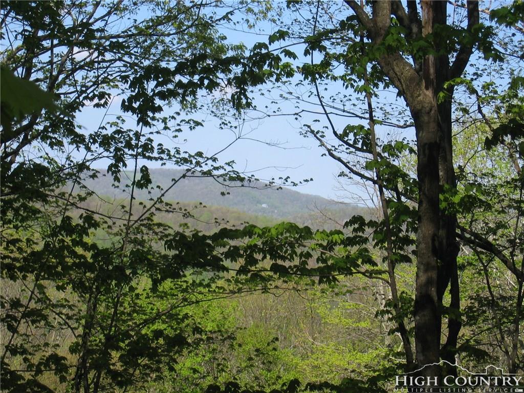 TBD Ball Branch Road - Photo 1