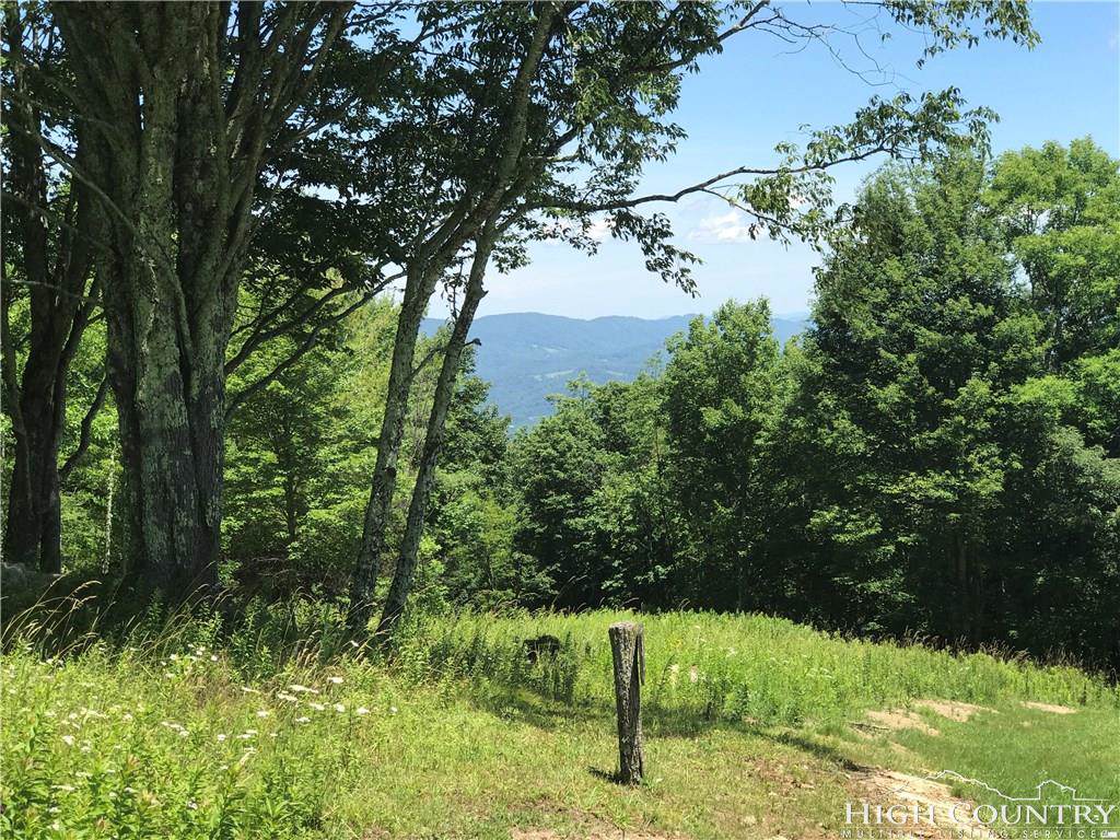 Lot 58 Eagle Pass - Photo 1