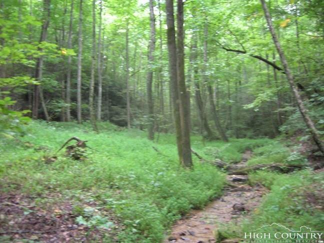 Lot 70 Deer Run West - Photo 1